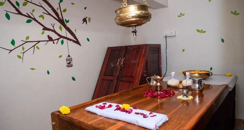 Birla Ayurveda Franchise Cost, Fees, Opportunity