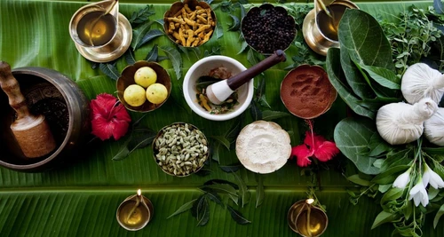 Birla Ayurveda Franchise Cost, Fees, Opportunity
