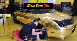 Black Optix Tint
