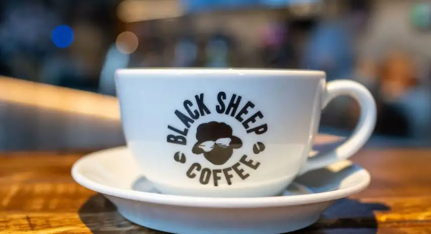 Black Sheep Coffee Franchise Opportunity in the USA image 2