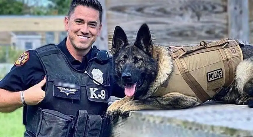 Blue Line K-9 USA Franchise For Sale