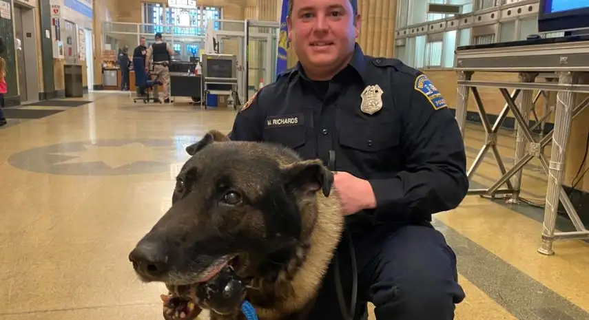 Blue Line K-9 USA Franchise For Sale