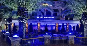 Blue Martini  – Cost & Investment