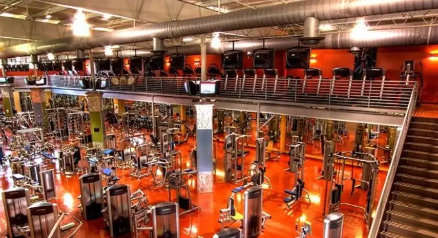 Bodyplex USA Franchise For Sale image 2