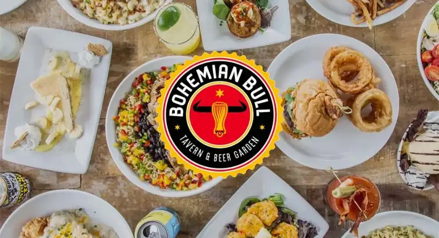 Bohemian Bull USA Franchise For Sale image 2