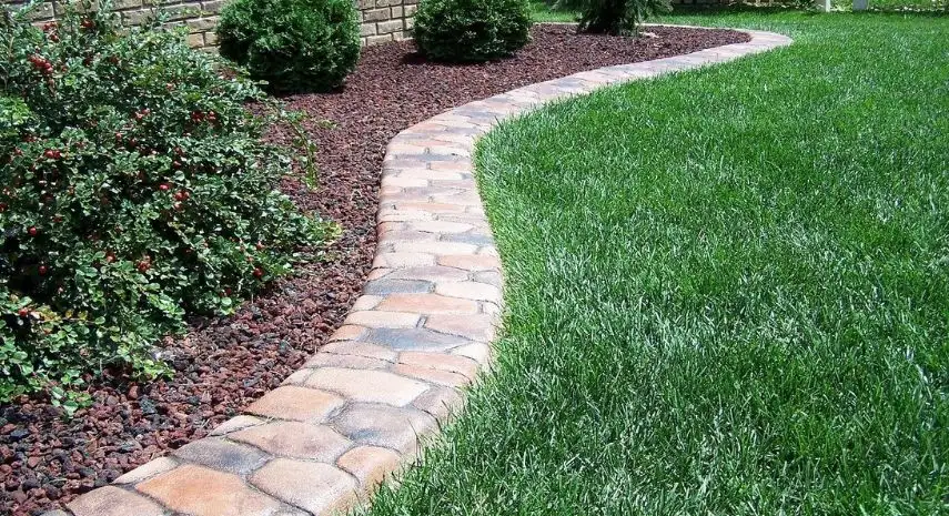 Border Magic USA Franchise For Sale