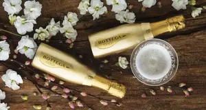 Bottle & Bottega  - Cost & Requirements