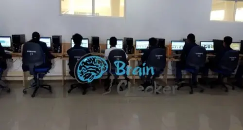 Brain Checker Franchise Cost, Fees & Opportunities