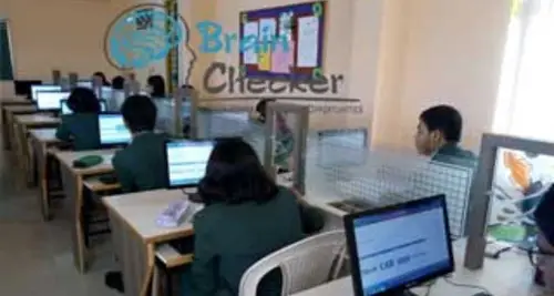 Brain Checker Franchise Cost, Fees & Opportunities