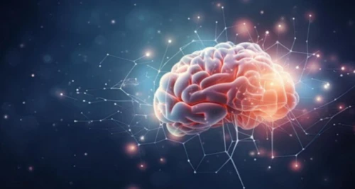 Brain Gurukul Franchise Cost, Fees, Opportunity