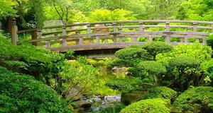 Bridge to Better Living