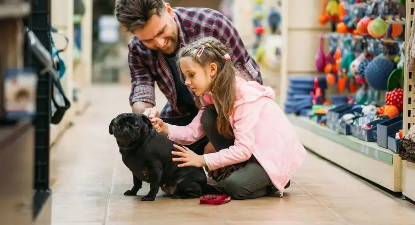 Bright N' Shine Pet Dental USA Franchise For Sale image 2