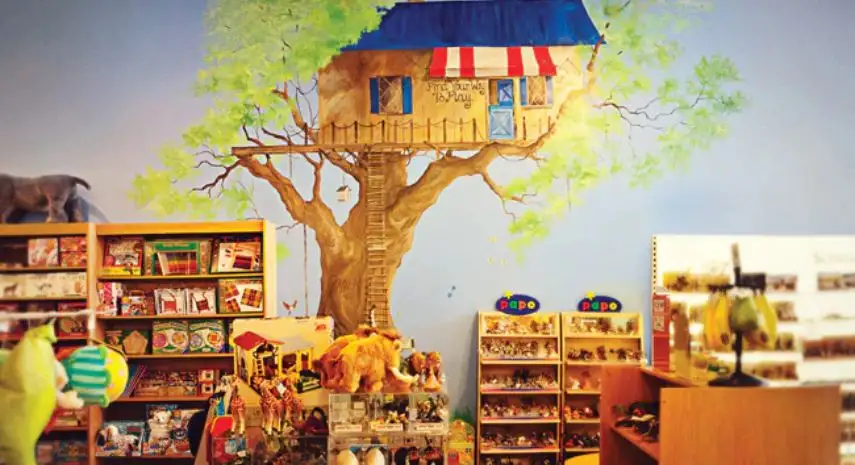 Brilliant Sky Toys & Books Franchise Opportunity in the USA