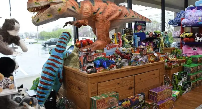 Brilliant Sky Toys & Books Franchise Opportunity in the USA image 3