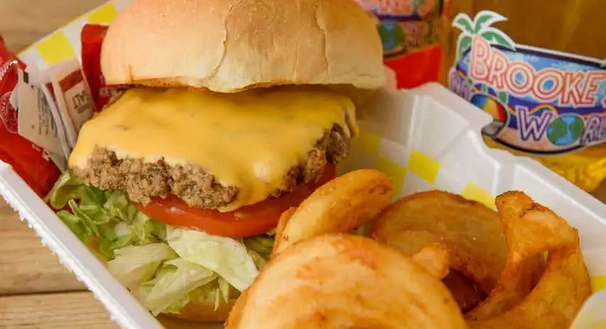 Brooke's Sno-World USA