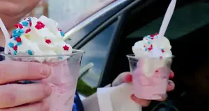 Brooke's Sno-World USA