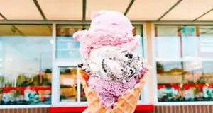 Bruster's Real Ice Cream USA