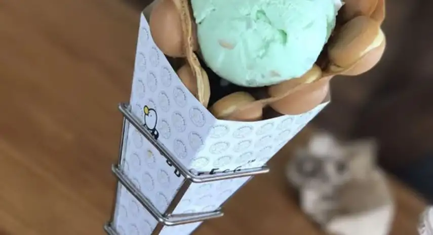 Bubble Egg USA Franchise For Sale