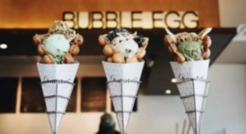 Bubble Egg USA Franchise For Sale