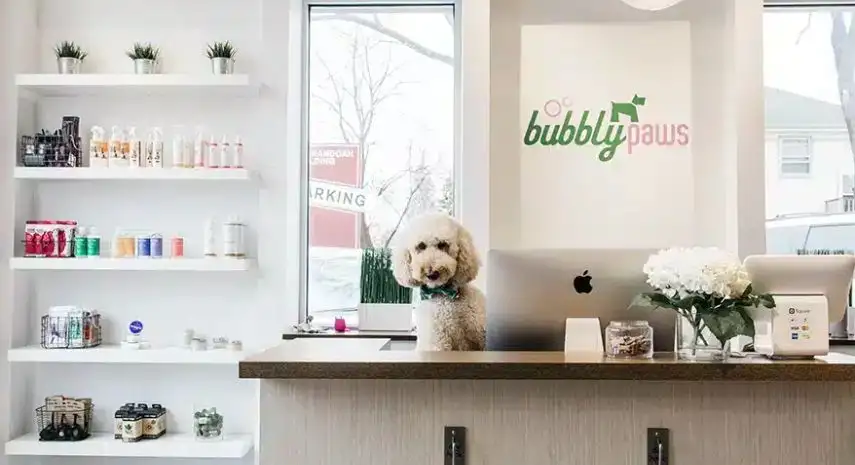 Bubbly Paws USA