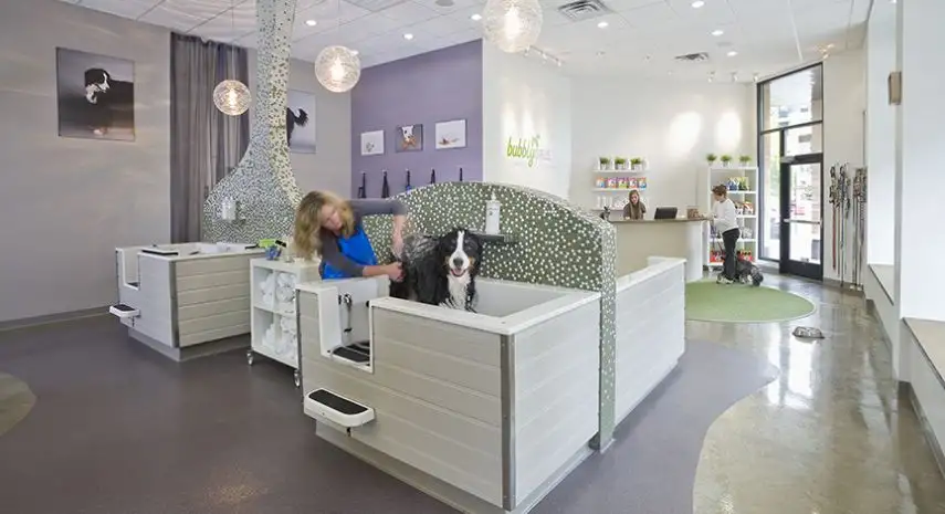 Bubbly Paws USA Franchise For Sale