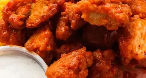 Bull Chicks  – Cost & Investment