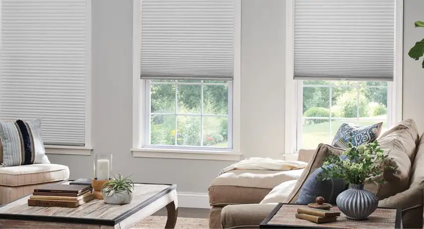 Bumble Bee Blinds Franchise Opportunity