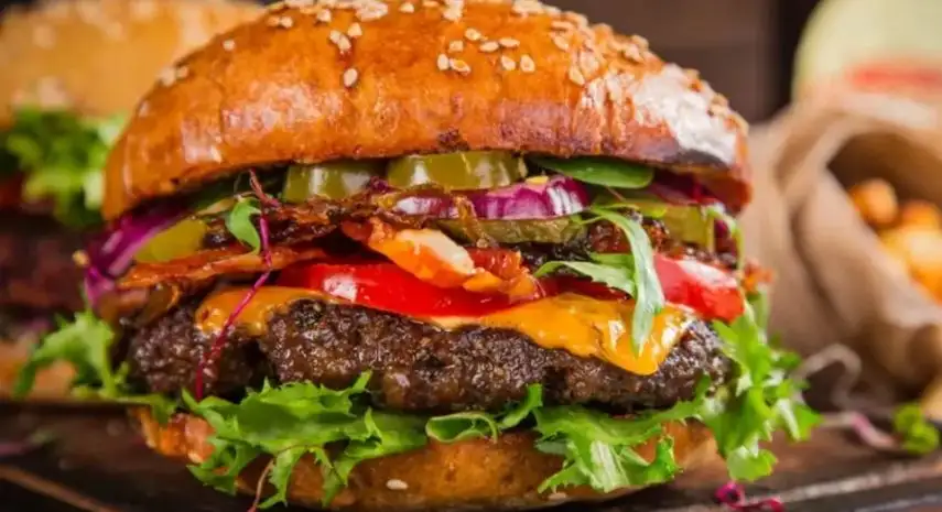 Burger Village USA Franchise For Sale image 4