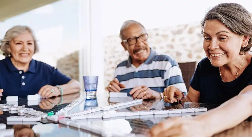 Cambridge Adult Day Centers USA Franchise For Sale