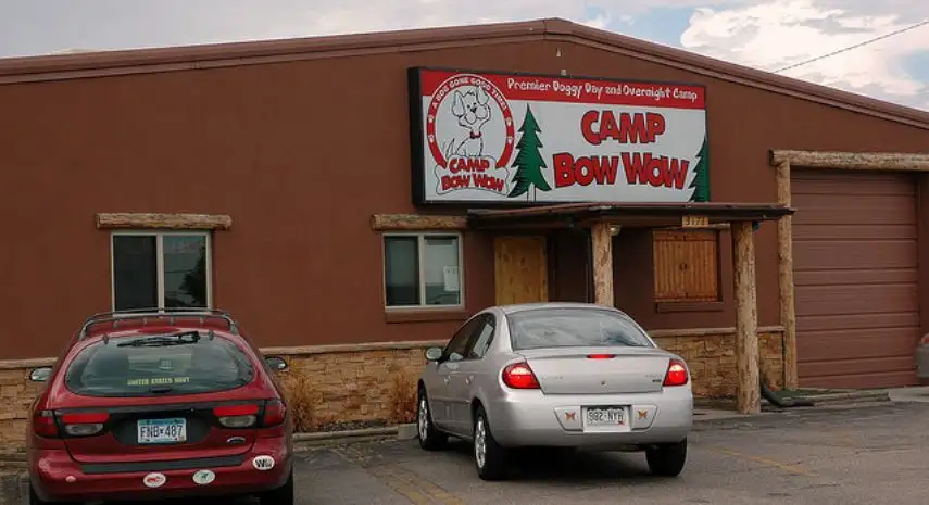 Camp Bow Wow Franchise For Sale – Cost & Investment
