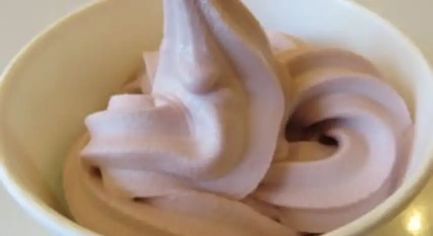 CEFIORE Frozen Yogurt USA Franchise For Sale