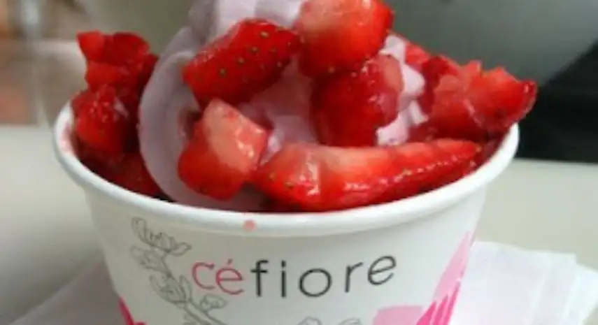 CEFIORE Frozen Yogurt USA Franchise For Sale