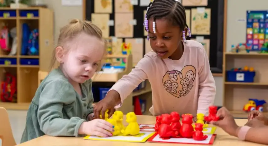 Celebree School Franchise For Sale