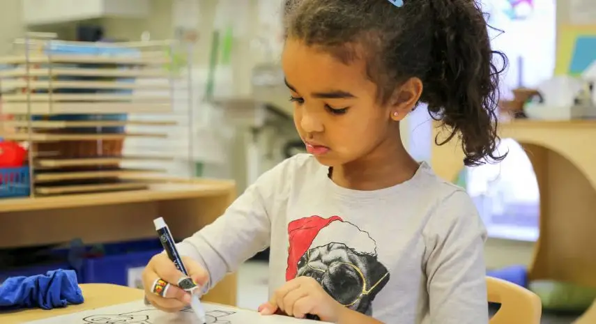 Celebree School Franchise For Sale image 4