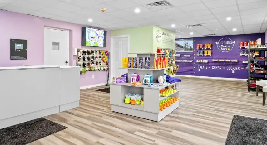 Central Bark Doggy Day Care USA Franchise For Sale