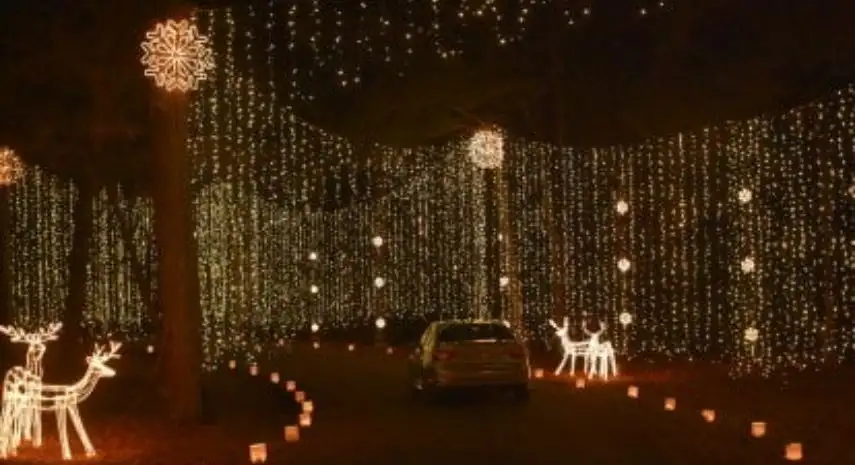 Certified Christmas Lights USA Franchise Opportunity