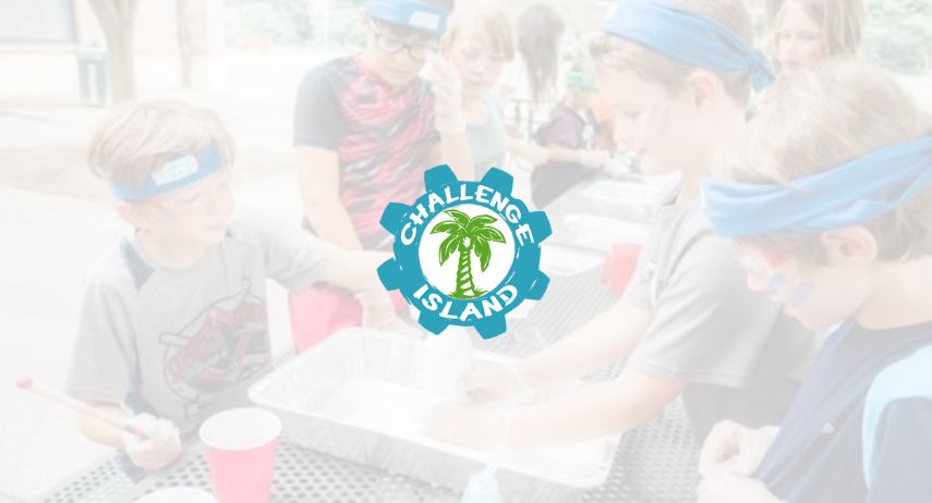 Challenge Island Franchise For Sale