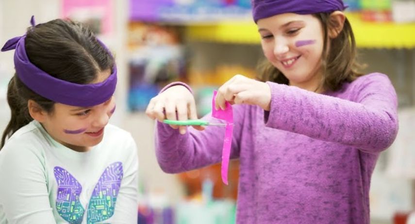 Challenge Island Franchise For Sale image 2