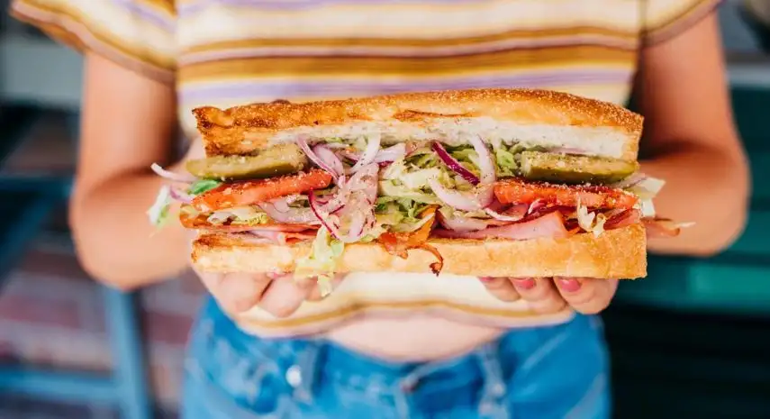 Cheba Hut Toasted Subs USA Franchise For Sale image 2