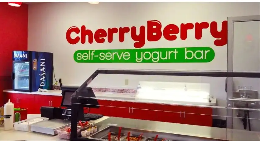 CherryBerry Frozen Yogurt USA Franchise For Sale