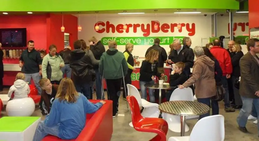 CherryBerry Frozen Yogurt USA