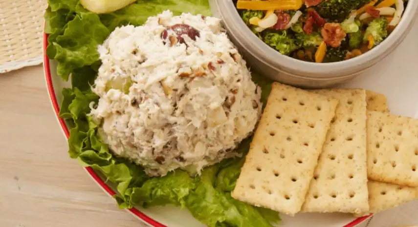 Chicken Salad Chick USA Franchise Opportunities