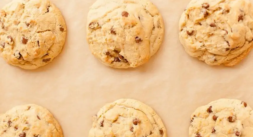 Chip Cookies Franchise Opportunity in the USA