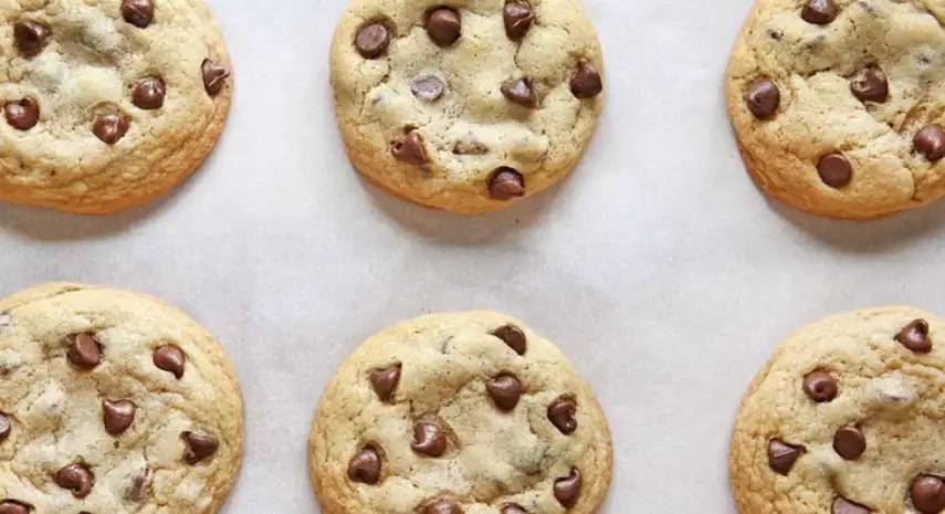 Chip Cookies Franchise Opportunity in the USA image 4