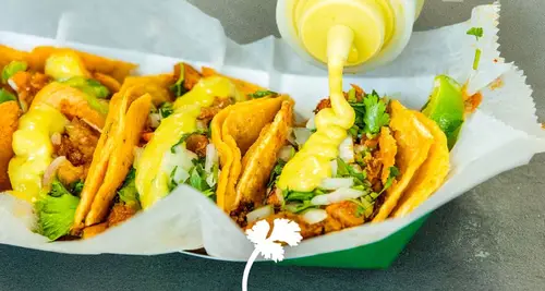 Cilantro Taco Grill Franchise Cost, Fees, Opportunities 2026 image 2