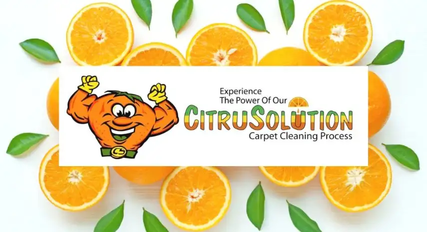 CitruSolution Carpet Cleaning USA Franchise For Sale