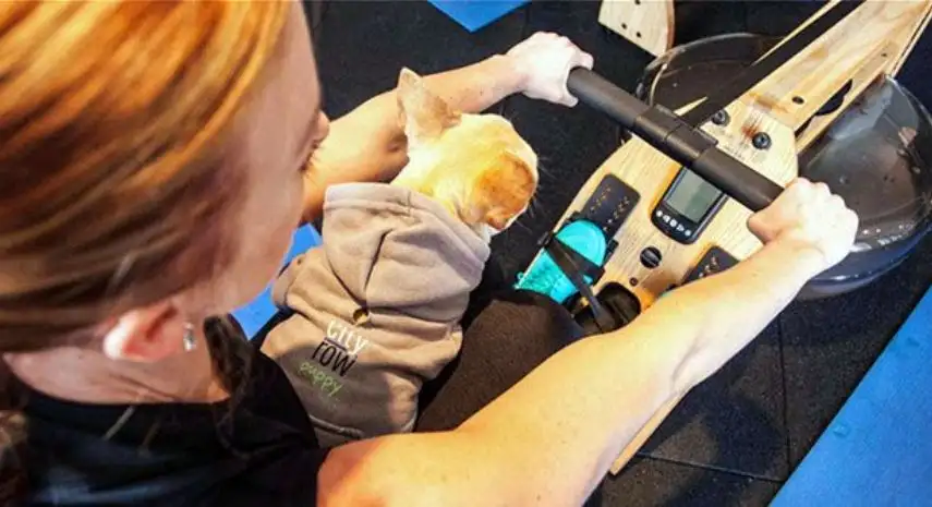 CITYROW USA Franchise Opportunity image 3