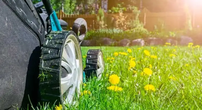 Clean Air Lawn Care Franchise Opportunity in the USA image 3