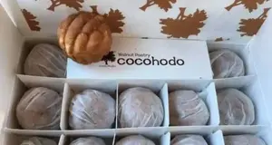 CoCoHoDo  in the USA
