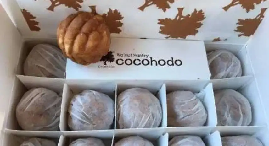 CoCoHoDo Franchise Opportunity in the USA